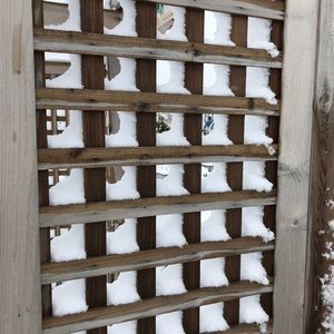 Meet your Posher, Jill